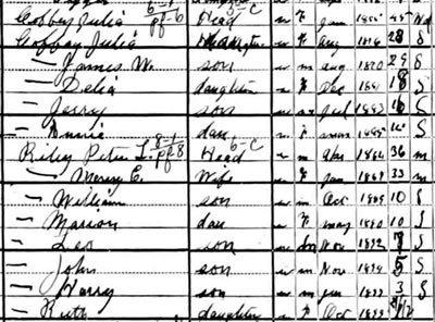 Coffey and Riley families, 1900 census